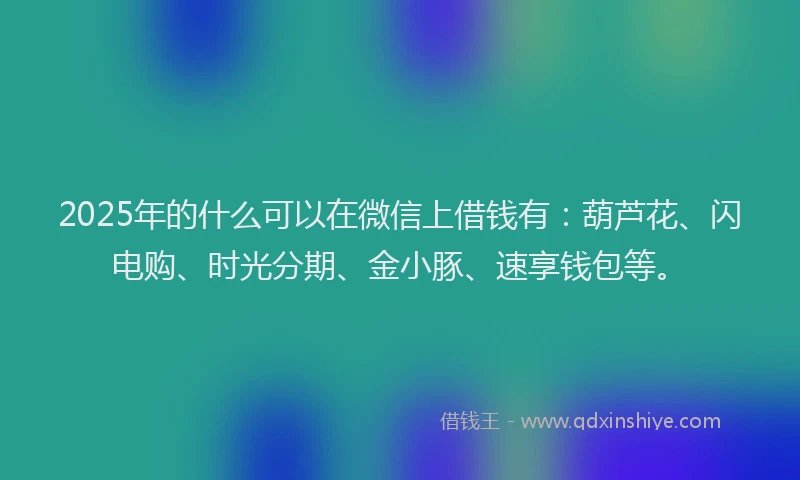 2025年的什么可以在微信上借钱有：葫芦花、闪电购、时光分期、金小豚、速享钱包等。