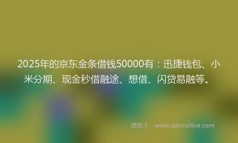 2025年的京东金条借钱50000有：迅捷钱包、小米分期、现金秒借融途、想借、闪贷易融等。