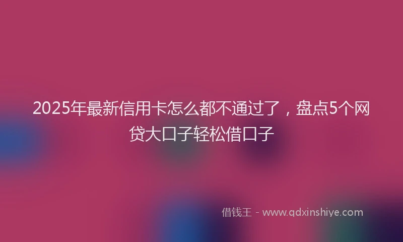 2025年最新信用卡怎么都不通过了，盘点5个网贷大口子轻松借口子