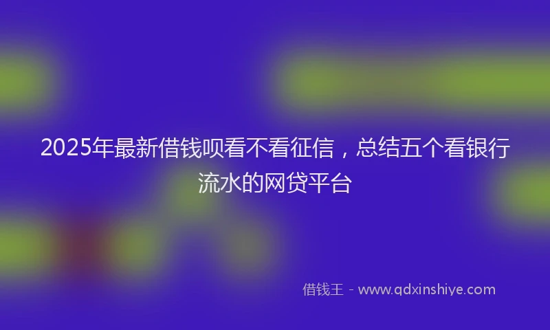 2025年最新借钱呗看不看征信，总结五个看银行流水的网贷平台