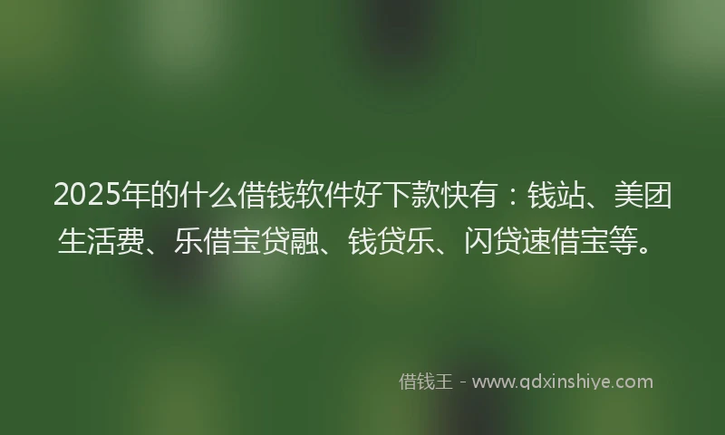 2025年的什么借钱软件好下款快有：钱站、美团生活费、乐借宝贷融、钱贷乐、闪贷速借宝等。