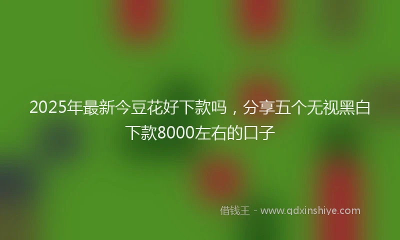 2025年最新今豆花好下款吗，分享五个无视黑白下款8000左右的口子
