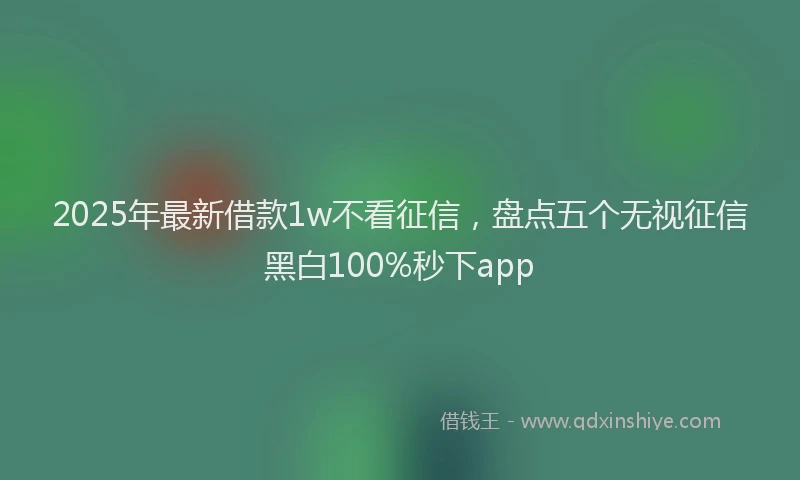 2025年最新借款1w不看征信，盘点五个无视征信黑白100%秒下app