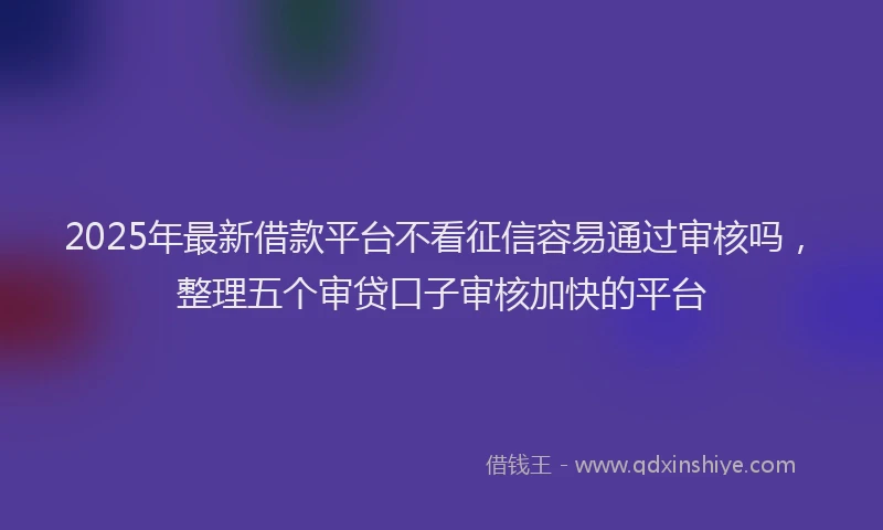 2025年最新借款平台不看征信容易通过审核吗，整理五个审贷口子审核加快的平台