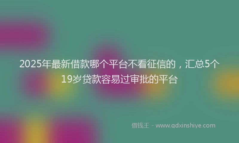 2025年最新借款哪个平台不看征信的，汇总5个19岁贷款容易过审批的平台