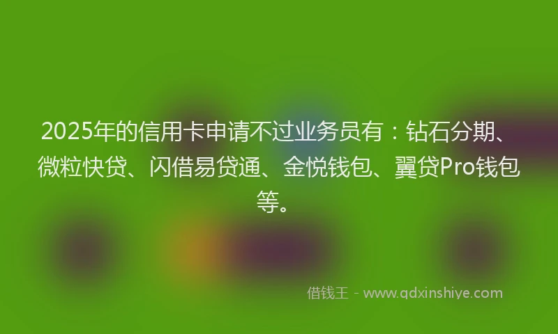 2025年的信用卡申请不过业务员有：钻石分期、微粒快贷、闪借易贷通、金悦钱包、翼贷Pro钱包等。