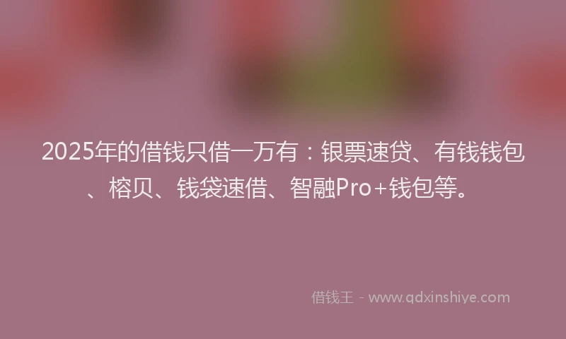 2025年的借钱只借一万有：银票速贷、有钱钱包、榕贝、钱袋速借、智融Pro+钱包等。