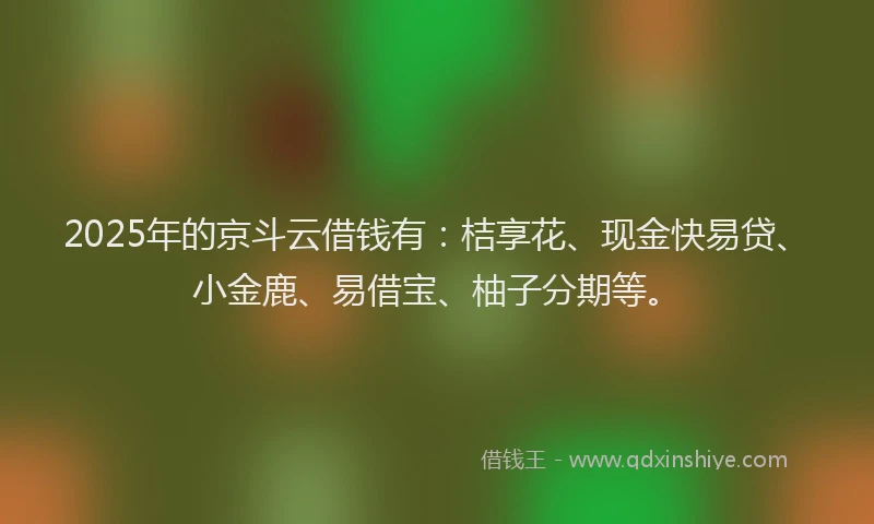 2025年的京斗云借钱有：桔享花、现金快易贷、小金鹿、易借宝、柚子分期等。