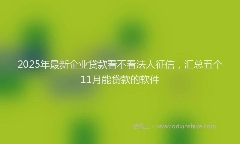 2025年最新企业贷款看不看法人征信，汇总五个11月能贷款的软件