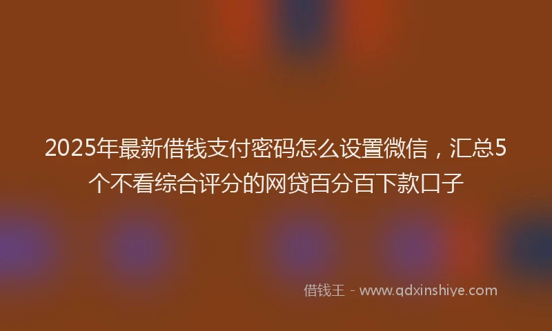 2025年最新借钱支付密码怎么设置微信，汇总5个不看综合评分的网贷百分百下款口子