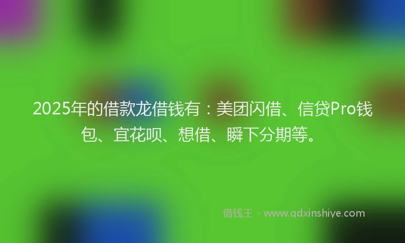 2025年的借款龙借钱有：美团闪借、信贷Pro钱包、宜花呗、想借、瞬下分期等。