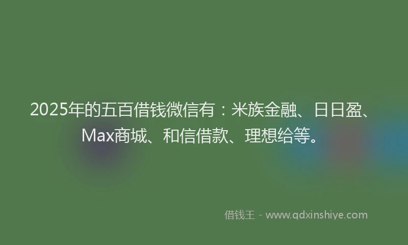 2025年的五百借钱微信有：米族金融、日日盈、Max商城、和信借款、理想给等。