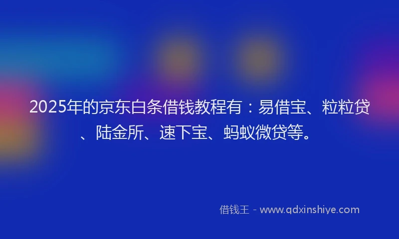 2025年的京东白条借钱教程有：易借宝、粒粒贷、陆金所、速下宝、蚂蚁微贷等。