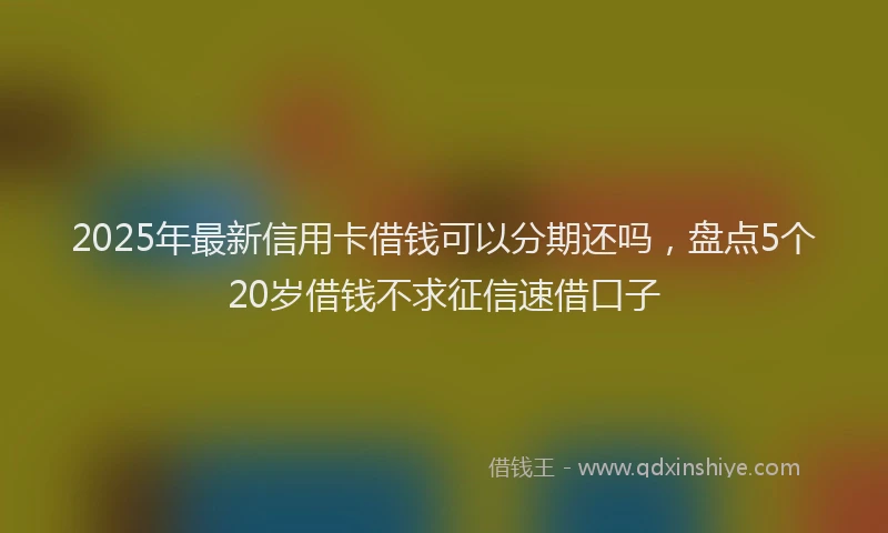 2025年最新信用卡借钱可以分期还吗，盘点5个20岁借钱不求征信速借口子