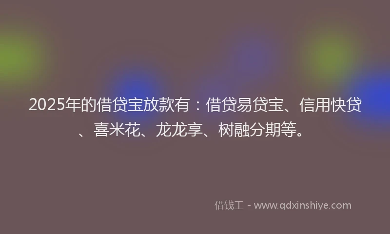 2025年的借贷宝放款有：借贷易贷宝、信用快贷、喜米花、龙龙享、树融分期等。