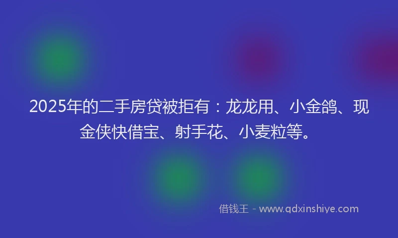 2025年的二手房贷被拒有：龙龙用、小金鸽、现金侠快借宝、射手花、小麦粒等。