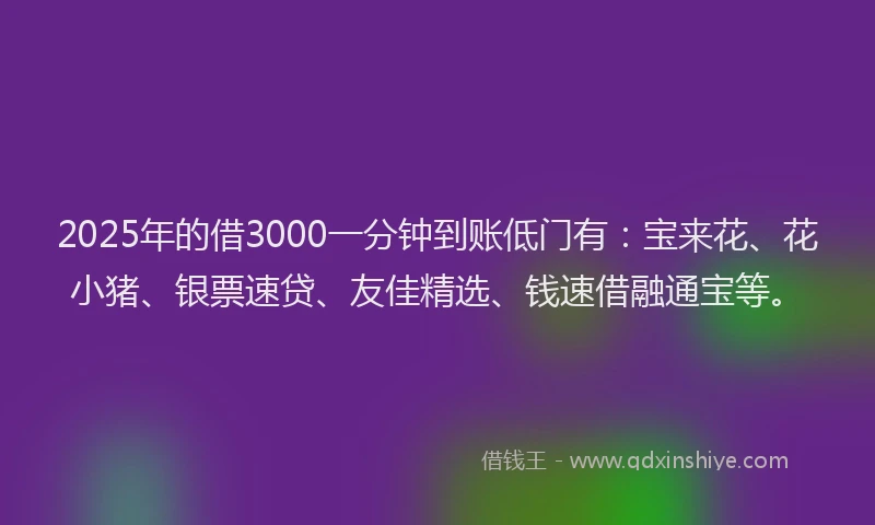 2025年的借3000一分钟到账低门有：宝来花、花小猪、银票速贷、友佳精选、钱速借融通宝等。