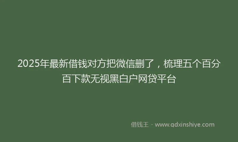 2025年最新借钱对方把微信删了，梳理五个百分百下款无视黑白户网贷平台