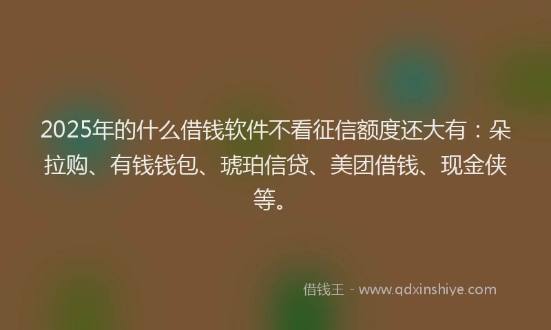 2025年的什么借钱软件不看征信额度还大有：朵拉购、有钱钱包、琥珀信贷、美团借钱、现金侠等。