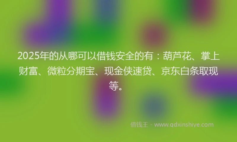 2025年的从哪可以借钱安全的有：葫芦花、掌上财富、微粒分期宝、现金侠速贷、京东白条取现等。