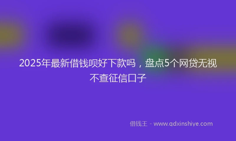 2025年最新借钱呗好下款吗，盘点5个网贷无视不查征信口子