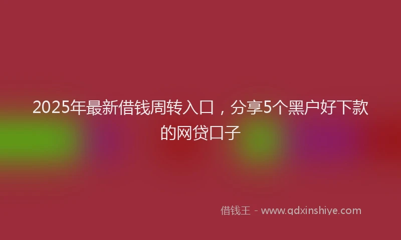 2025年最新借钱周转入口，分享5个黑户好下款的网贷口子