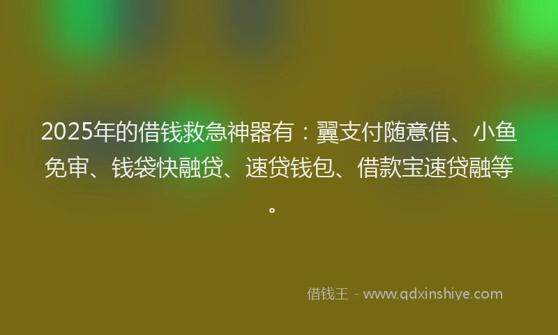 2025年的借钱救急神器有：翼支付随意借、小鱼免审、钱袋快融贷、速贷钱包、借款宝速贷融等。