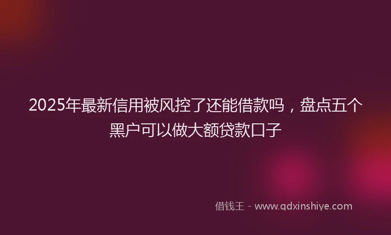 2025年最新信用被风控了还能借款吗，盘点五个黑户可以做大额贷款口子