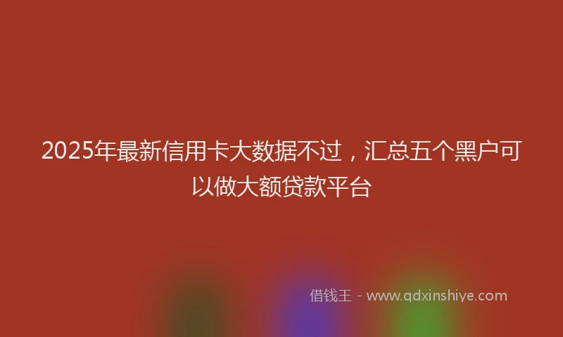 2025年最新信用卡大数据不过，汇总五个黑户可以做大额贷款平台