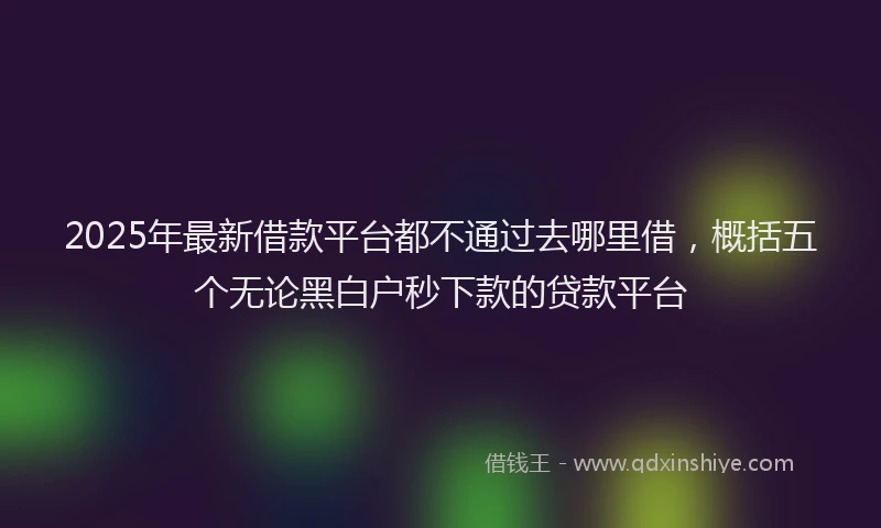 2025年最新借款平台都不通过去哪里借，概括五个无论黑白户秒下款的贷款平台