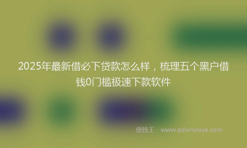 2025年最新借必下贷款怎么样，梳理五个黑户借钱0门槛极速下款软件