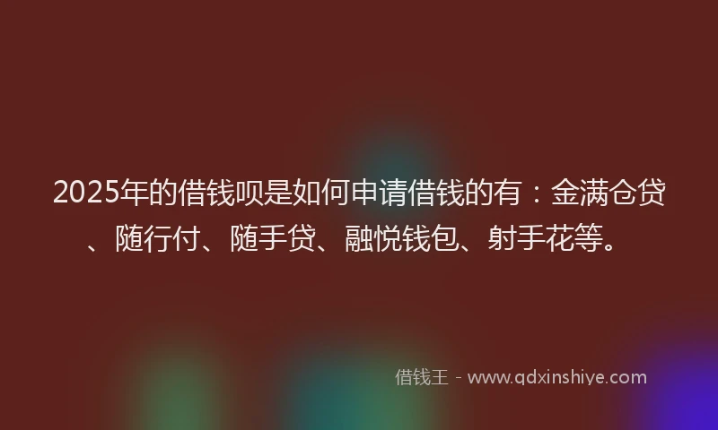 2025年的借钱呗是如何申请借钱的有：金满仓贷、随行付、随手贷、融悦钱包、射手花等。
