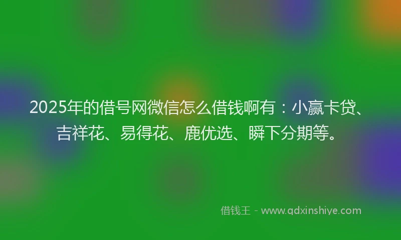 2025年的借号网微信怎么借钱啊有：小赢卡贷、吉祥花、易得花、鹿优选、瞬下分期等。