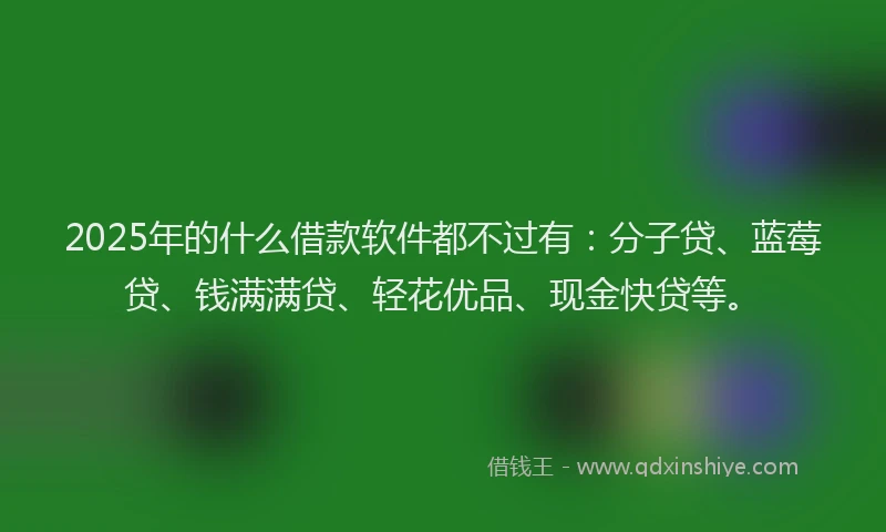 2025年的什么借款软件都不过有：分子贷、蓝莓贷、钱满满贷、轻花优品、现金快贷等。