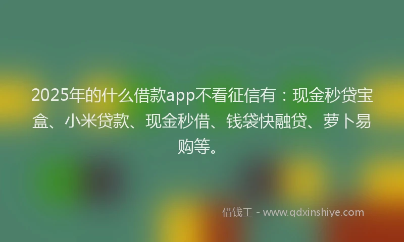 2025年的什么借款app不看征信有：现金秒贷宝盒、小米贷款、现金秒借、钱袋快融贷、萝卜易购等。