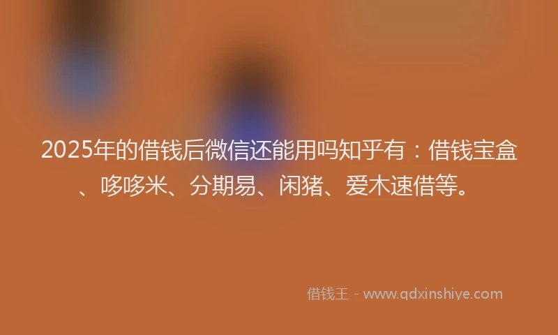 2025年的借钱后微信还能用吗知乎有：借钱宝盒、哆哆米、分期易、闲猪、爱木速借等。