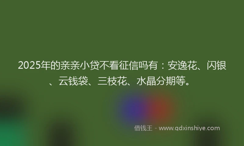 2025年的亲亲小贷不看征信吗有：安逸花、闪银、云钱袋、三枝花、水晶分期等。