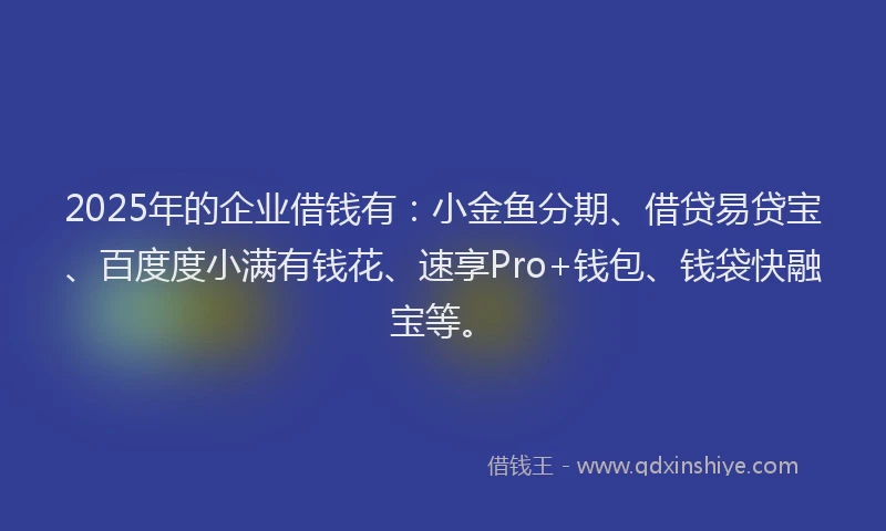 2025年的企业借钱有：小金鱼分期、借贷易贷宝、百度度小满有钱花、速享Pro+钱包、钱袋快融宝等。