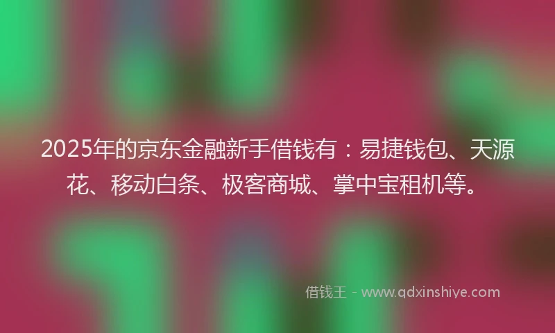 2025年的京东金融新手借钱有：易捷钱包、天源花、移动白条、极客商城、掌中宝租机等。