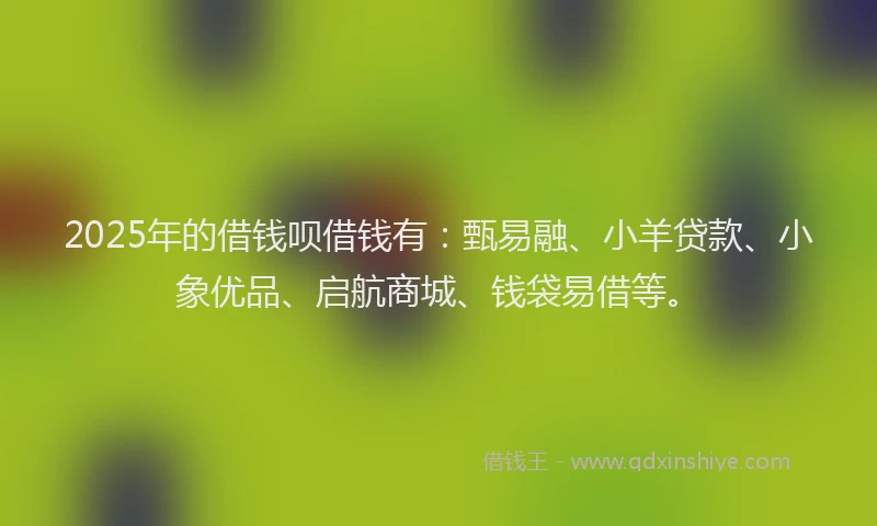 2025年的借钱呗借钱有：甄易融、小羊贷款、小象优品、启航商城、钱袋易借等。
