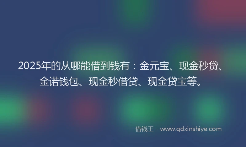 2025年的从哪能借到钱有：金元宝、现金秒贷、金诺钱包、现金秒借贷、现金贷宝等。