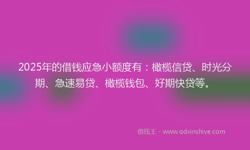 2025年的借钱应急小额度有：橄榄信贷、时光分期、急速易贷、橄榄钱包、好期快贷等。