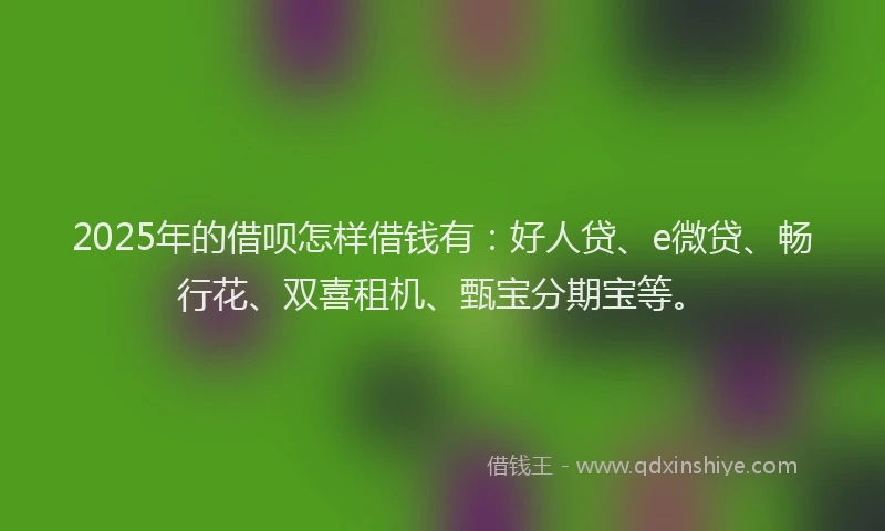 2025年的借呗怎样借钱有：好人贷、e微贷、畅行花、双喜租机、甄宝分期宝等。