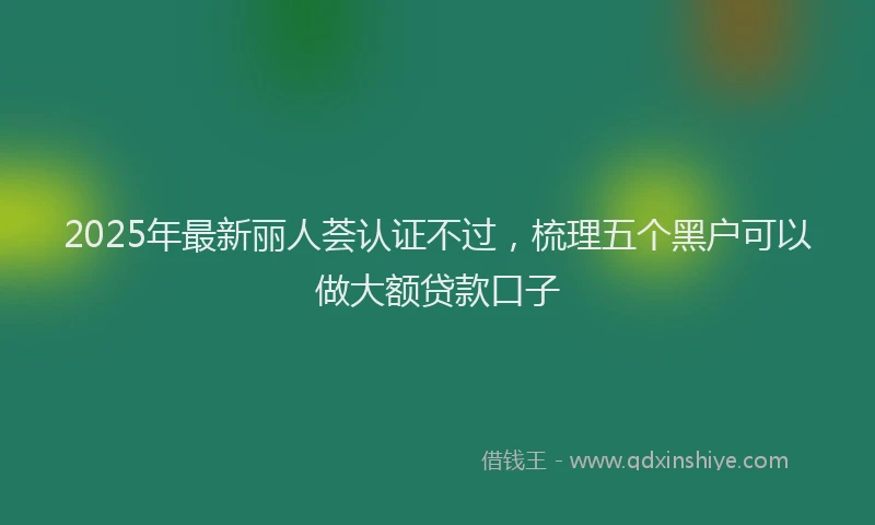 2025年最新丽人荟认证不过，梳理五个黑户可以做大额贷款口子