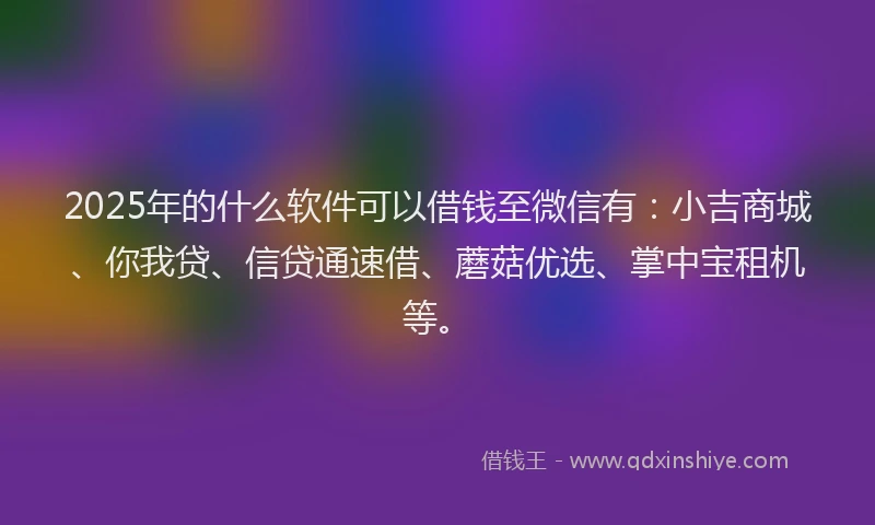 2025年的什么软件可以借钱至微信有：小吉商城、你我贷、信贷通速借、蘑菇优选、掌中宝租机等。