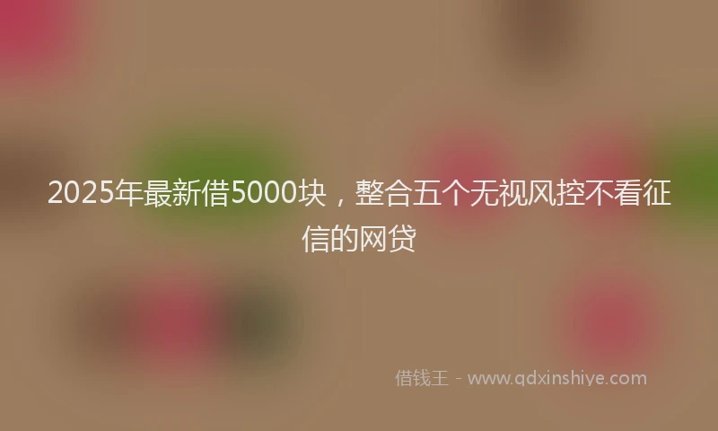 2025年最新借5000块，整合五个无视风控不看征信的网贷