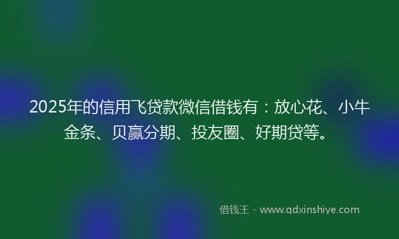 2025年的信用飞贷款微信借钱有：放心花、小牛金条、贝赢分期、投友圈、好期贷等。