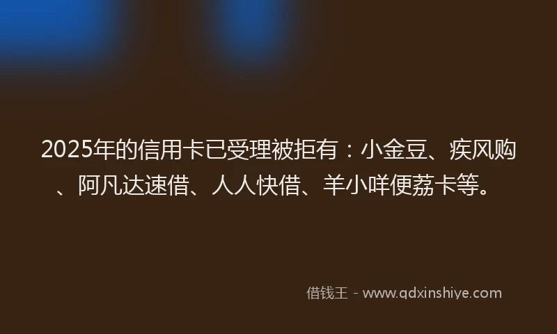 2025年的信用卡已受理被拒有：小金豆、疾风购、阿凡达速借、人人快借、羊小咩便荔卡等。