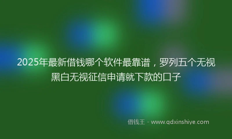 2025年最新借钱哪个软件最靠谱，罗列五个无视黑白无视征信申请就下款的口子