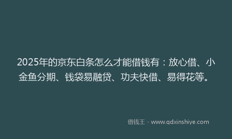2025年的京东白条怎么才能借钱有：放心借、小金鱼分期、钱袋易融贷、功夫快借、易得花等。